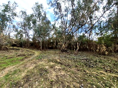 Half Acre Plot for Sale in Garden Estate - Image 11