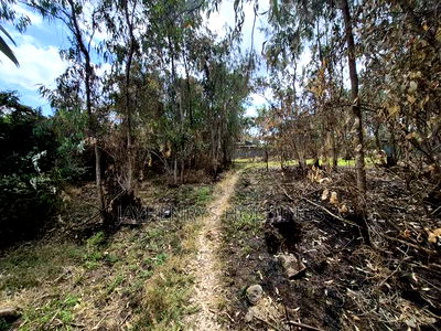 Half Acre Plot for Sale in Garden Estate - Image 4