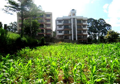 1 Acre Freehold Plot in Thindigua