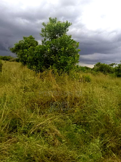Malindi 18 Acres Land With Ready Title Deed - Image 2