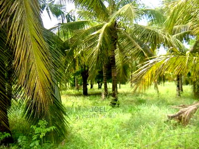 Malindi 18 Acres Land With Ready Title Deed - Image 1