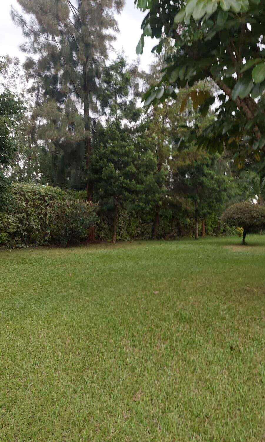 2.5-Acre Kilimani Plot for Sale