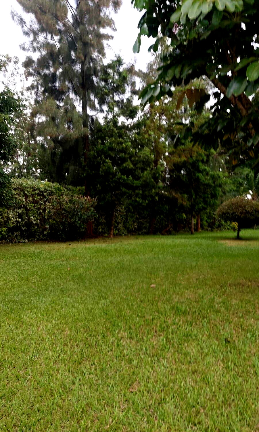 2.5-Acre Kilimani Plot for Sale