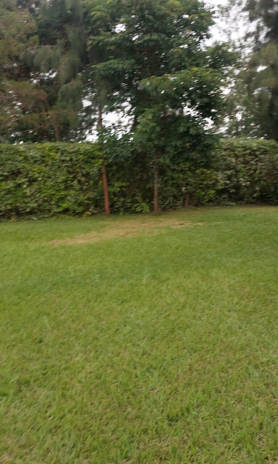 2.5-Acre Kilimani Plot for Sale