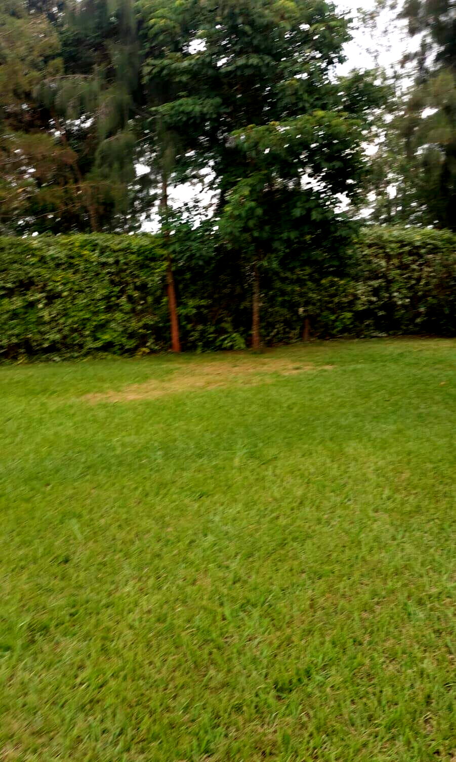 2.5-Acre Kilimani Plot for Sale