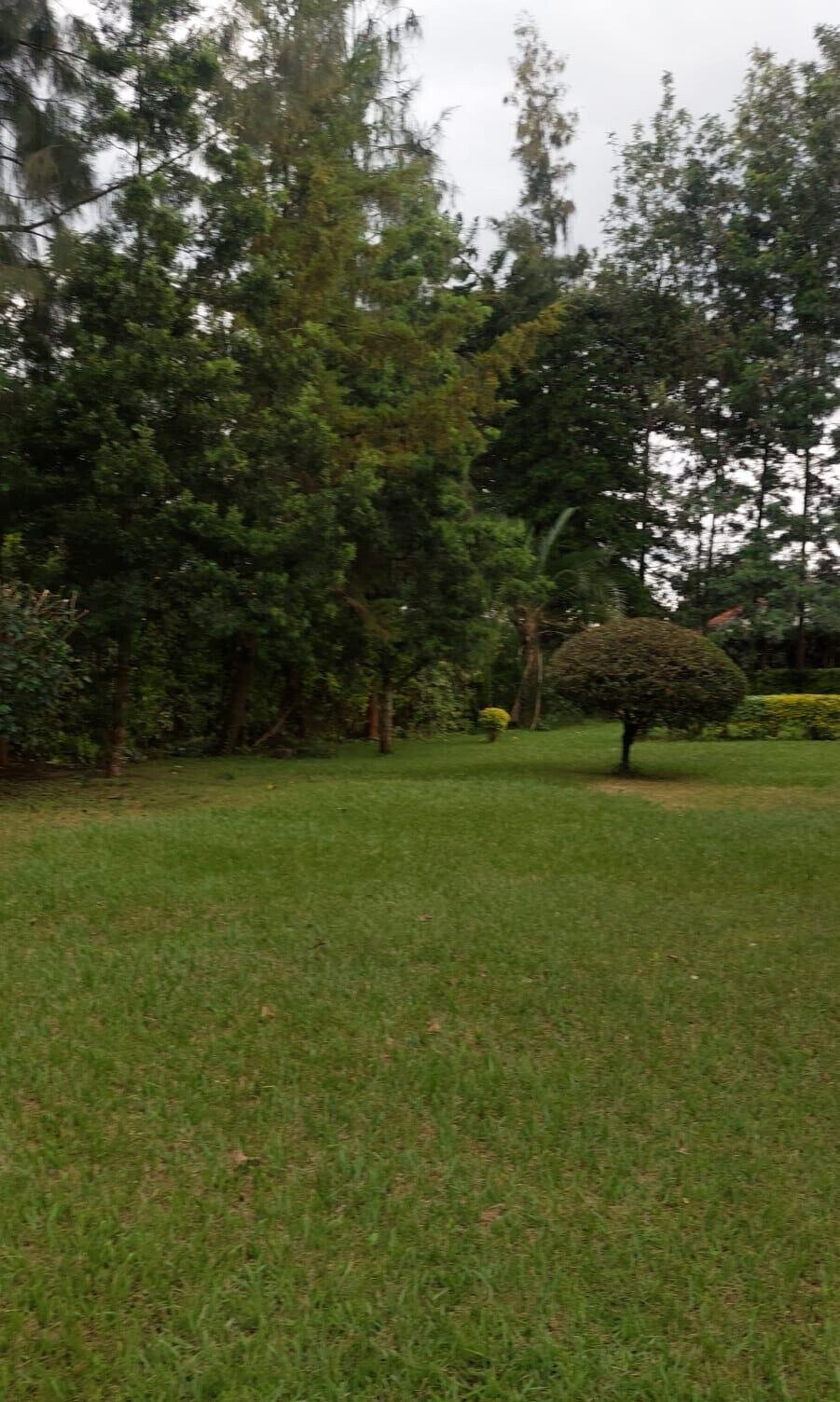 2.5-Acre Kilimani Plot for Sale