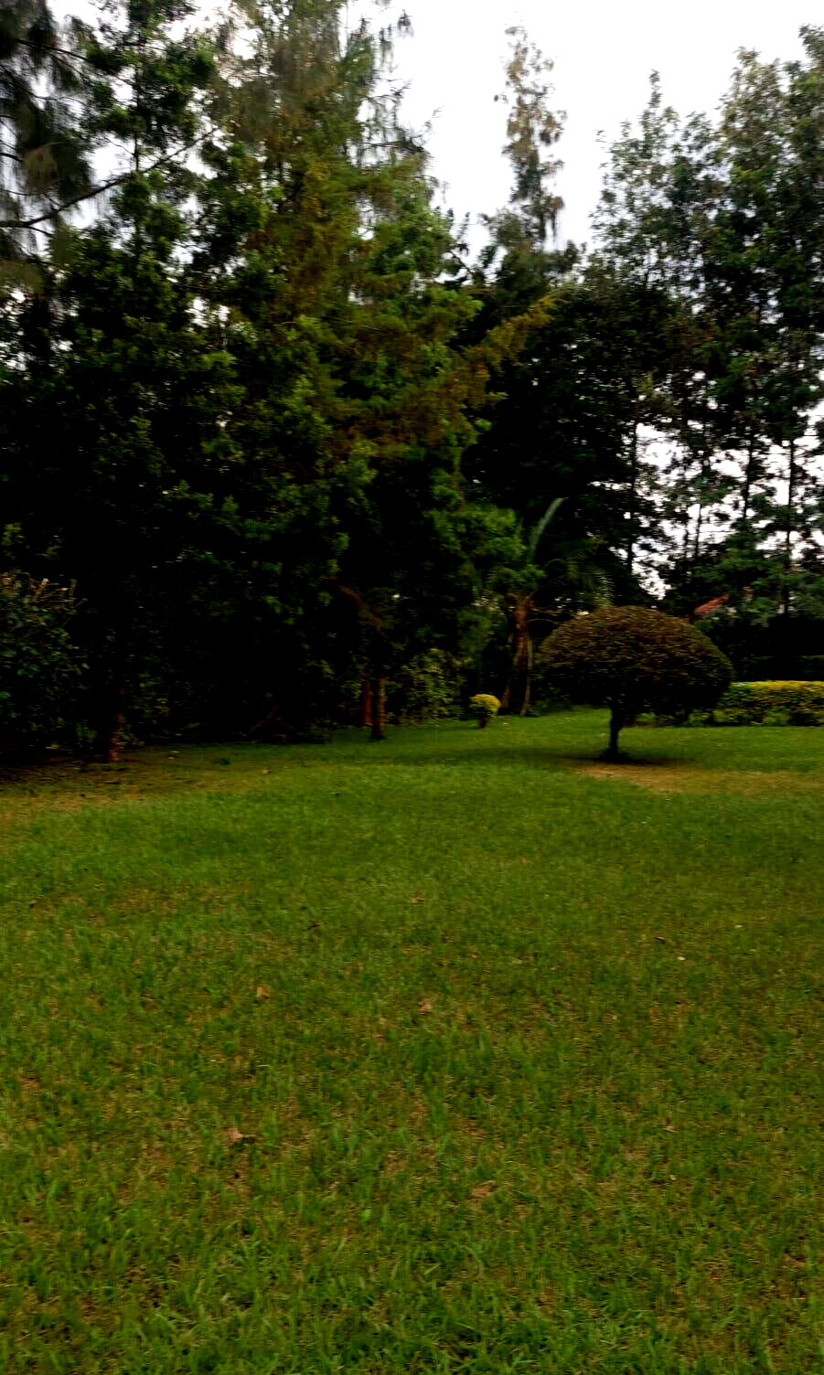 2.5-Acre Kilimani Plot for Sale