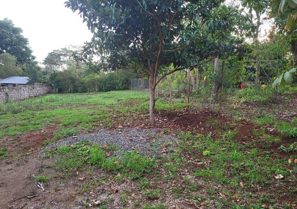 1/8 Acre Kerarapon Plot