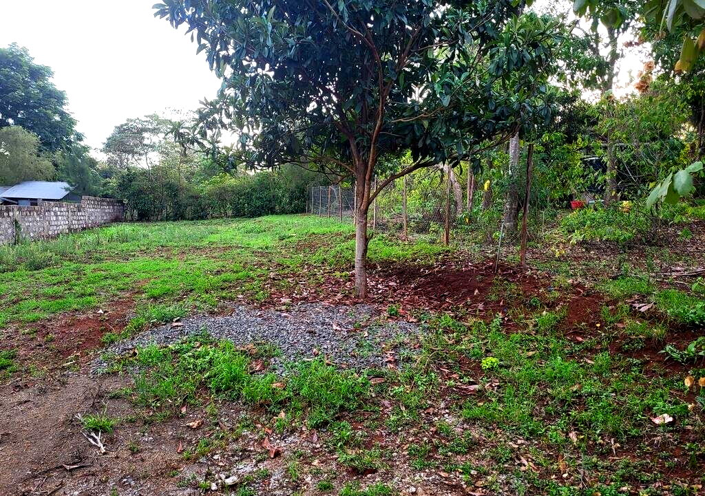 1/8 Acre Kerarapon Plot