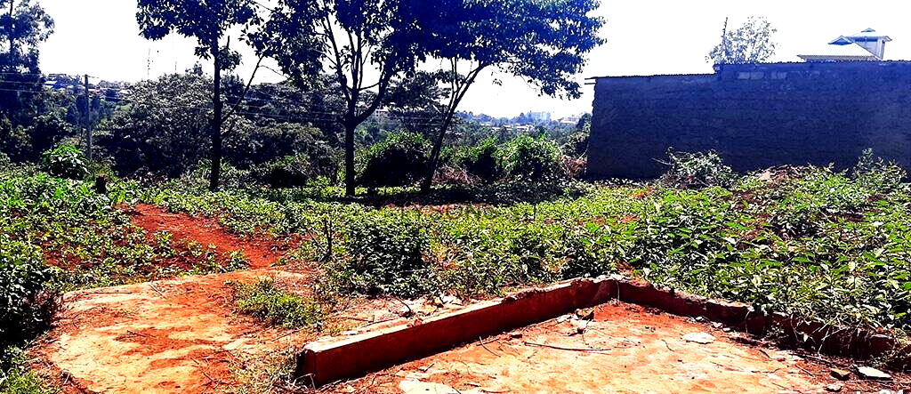 0.14 Acre Red Soil Plot in Ruaka