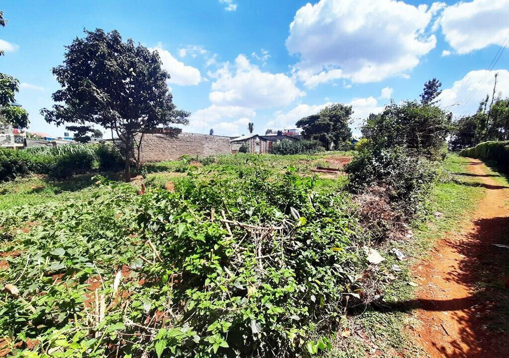 0.14 Acre Red Soil Plot in Ruaka