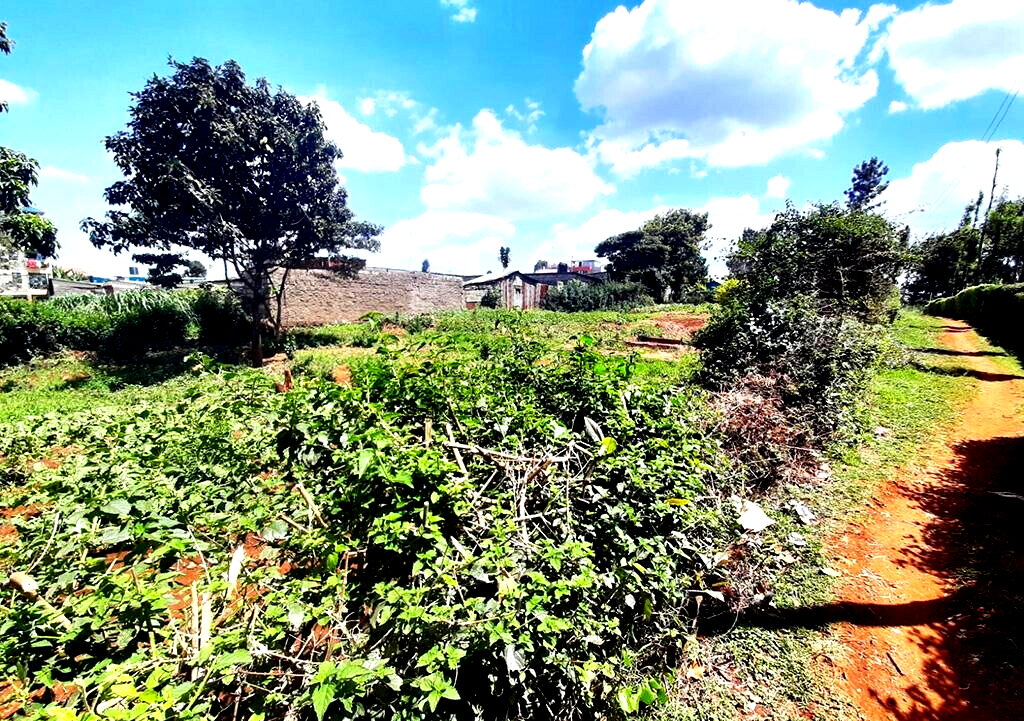 0.14 Acre Red Soil Plot in Ruaka