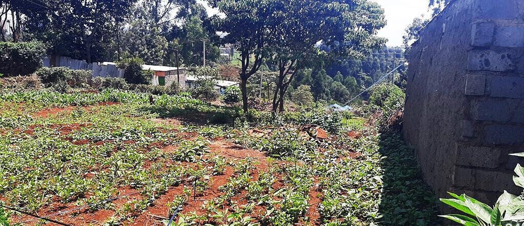 0.14 Acre Red Soil Plot in Ruaka
