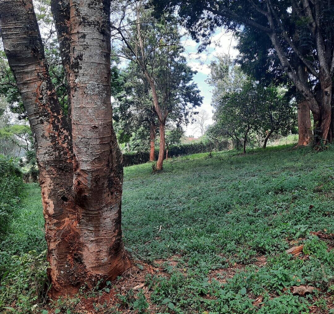 5-Acre Lower Kabete Gem