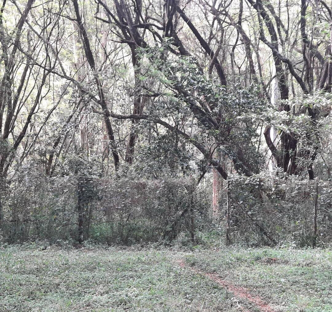 5-Acre Lower Kabete Gem