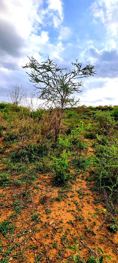 70 Acres Serashi at 150k Per Acre - Image 9