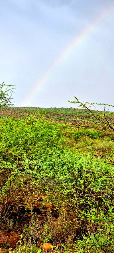 70 Acres Serashi at 150k Per Acre - Image 2