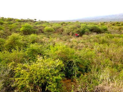 70 Acres Serashi at 150k Per Acre - Image 3