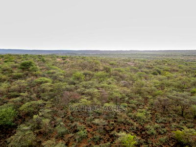 70 Acres Serashi at 150k Per Acre - Image 4