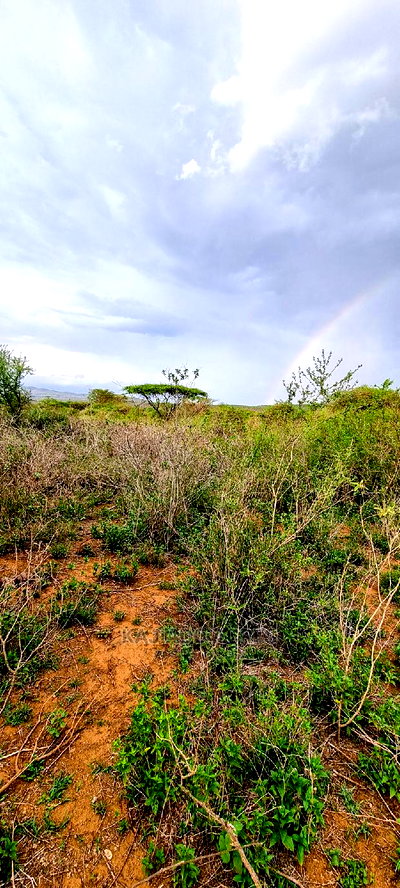 70 Acres Serashi at 150k Per Acre - Image 1