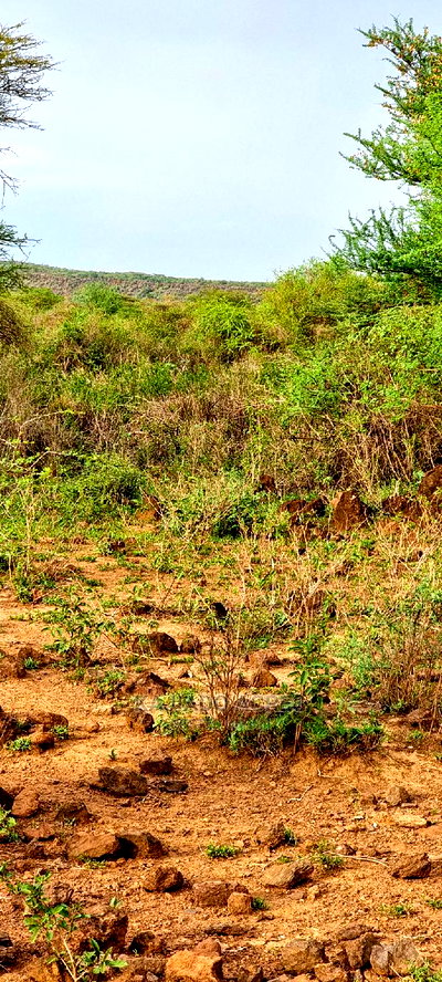 70 Acres Serashi at 150k Per Acre - Image 8