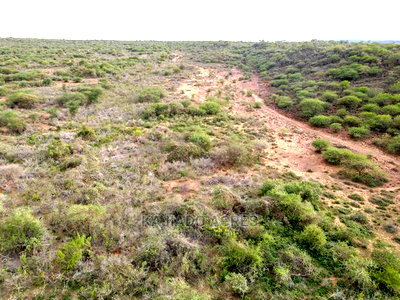70 Acres Serashi at 150k Per Acre - Image 11