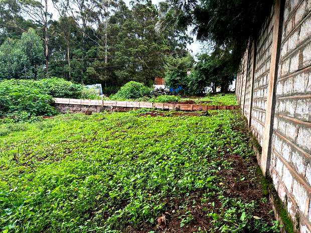 Prime Commercial Plot in Kikuyu Town (Fronting the Tarmac).