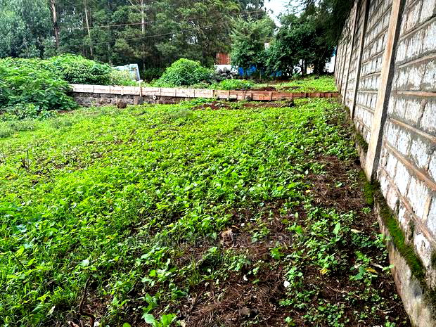 Prime Commercial Plot in Kikuyu Town (Fronting the Tarmac).