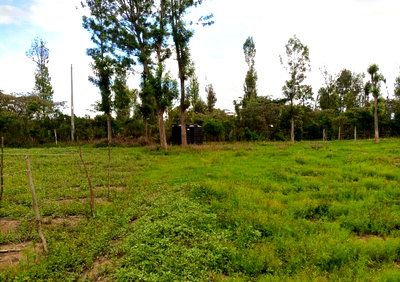 Loldaiga Conservancy Office Space