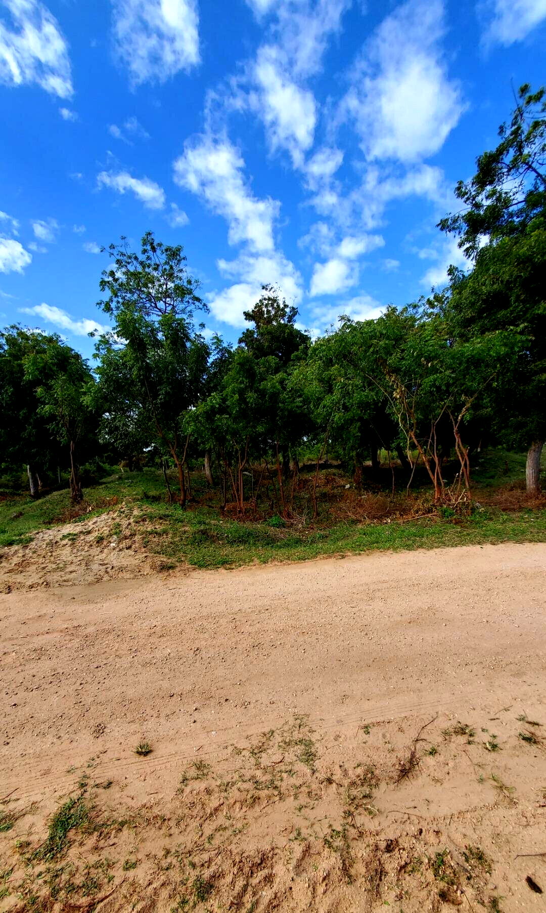 4-Acre Shanzu Gem for KSh 12.5M