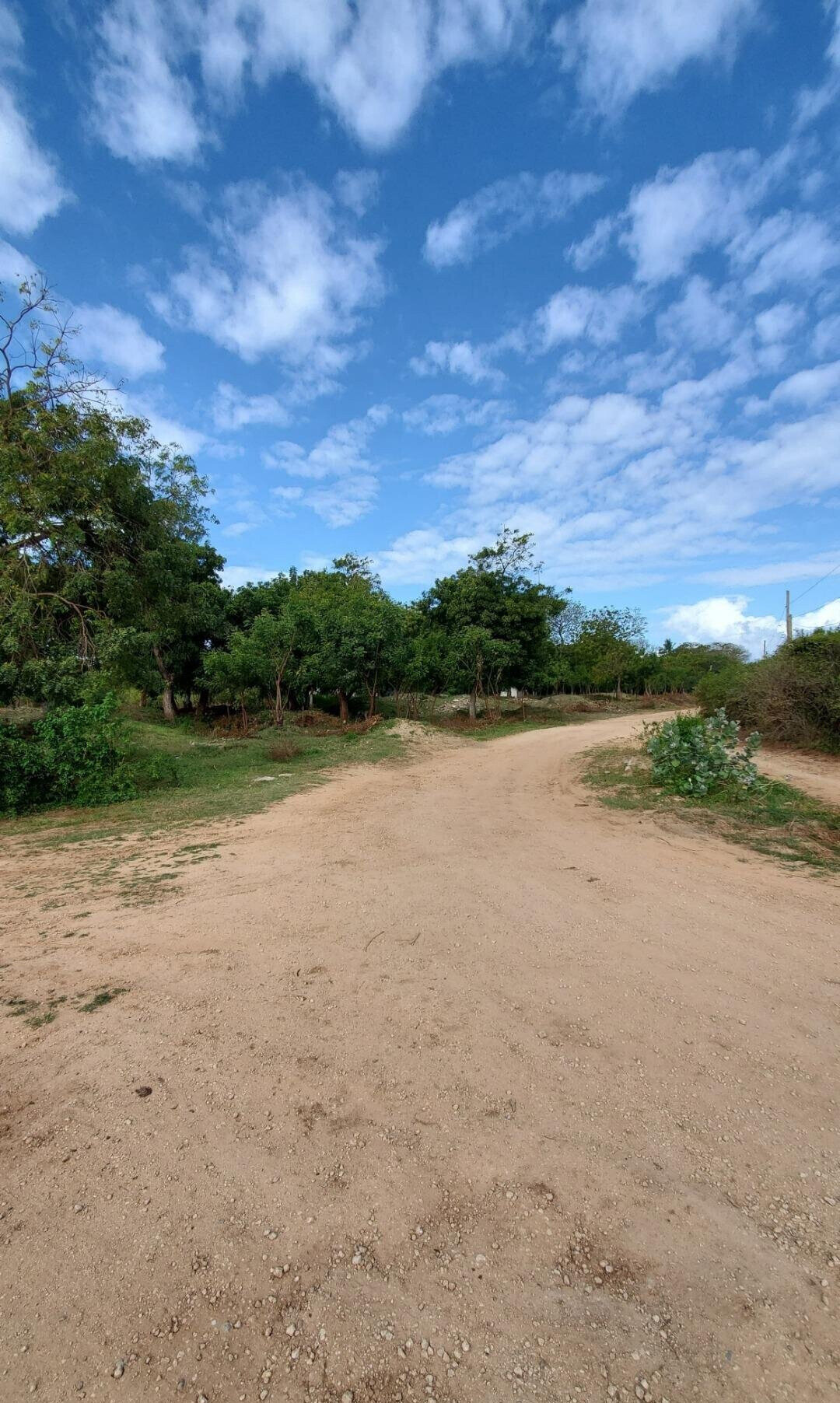 4-Acre Shanzu Gem for KSh 12.5M