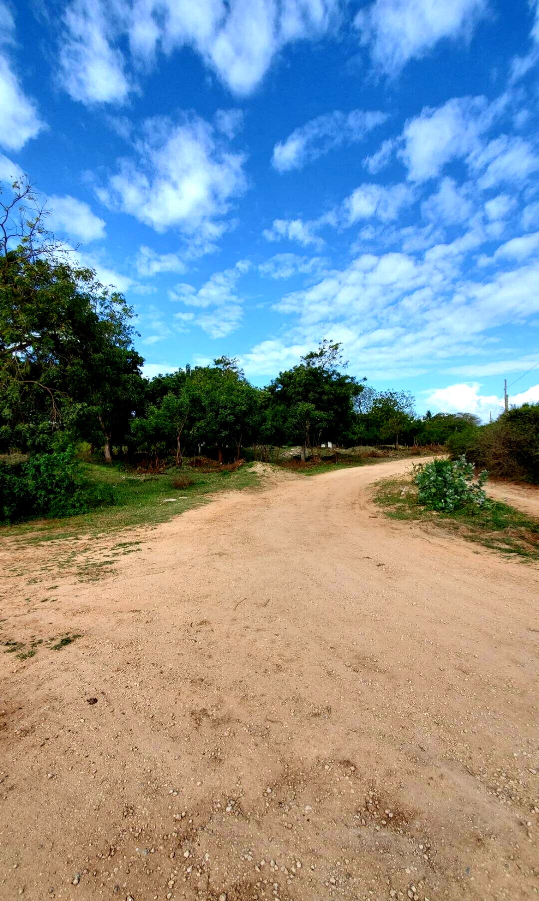 4-Acre Shanzu Gem for KSh 12.5M