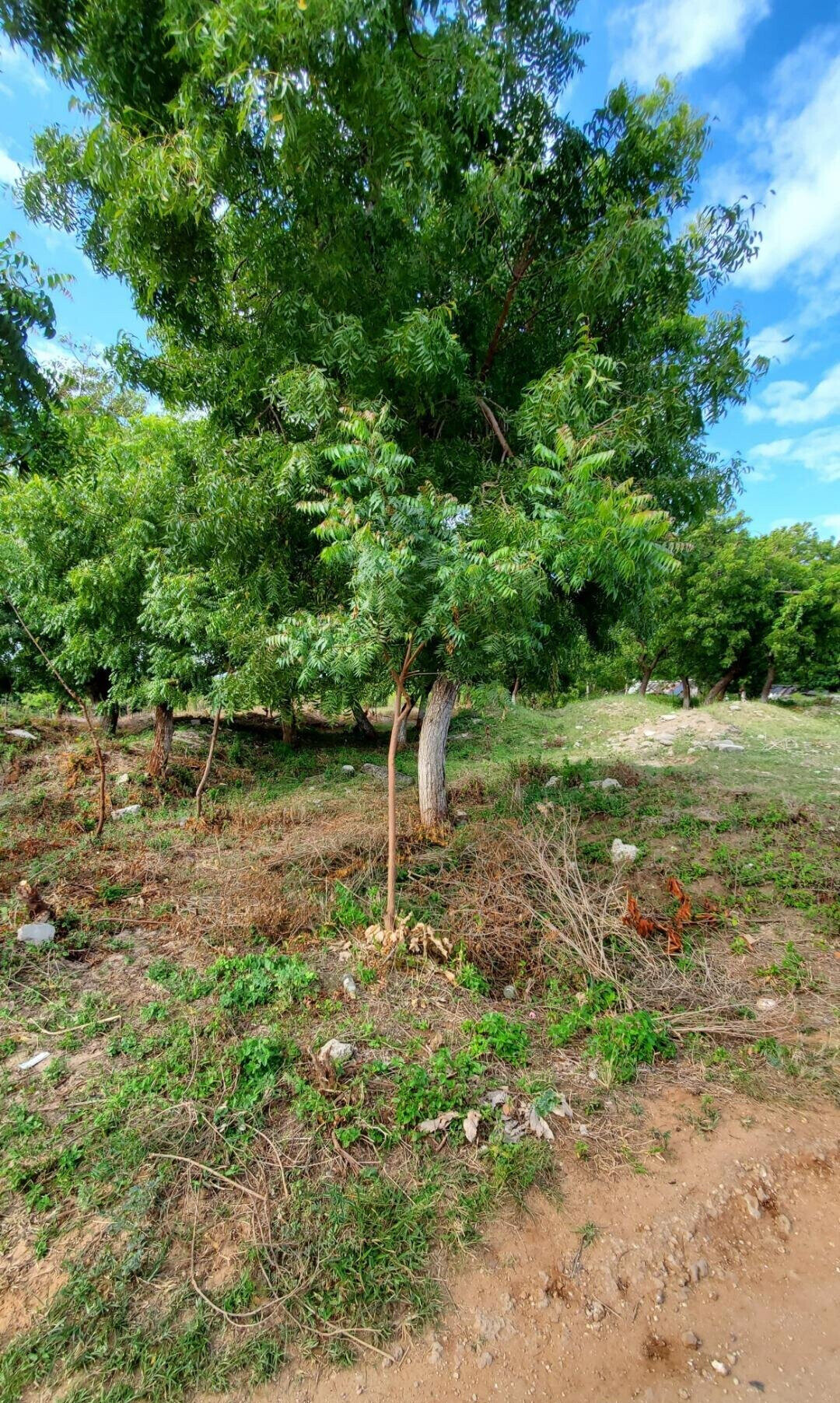 4-Acre Shanzu Gem for KSh 12.5M