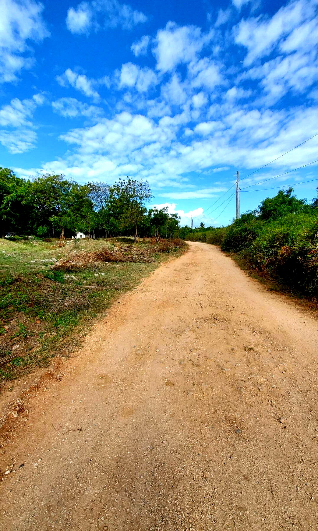 4-Acre Shanzu Gem for KSh 12.5M