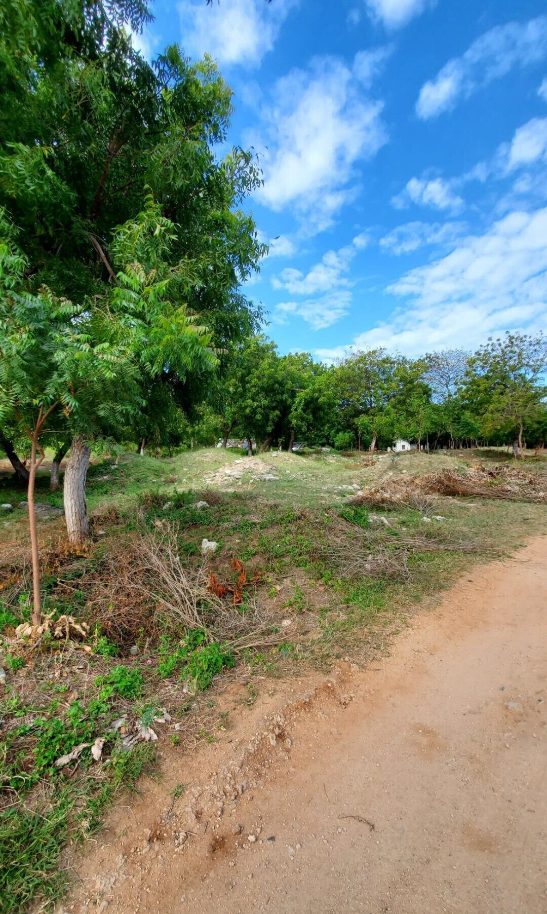 4-Acre Shanzu Gem for KSh 12.5M