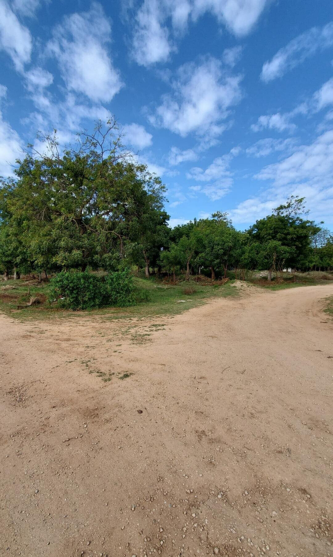 4-Acre Shanzu Gem for KSh 12.5M
