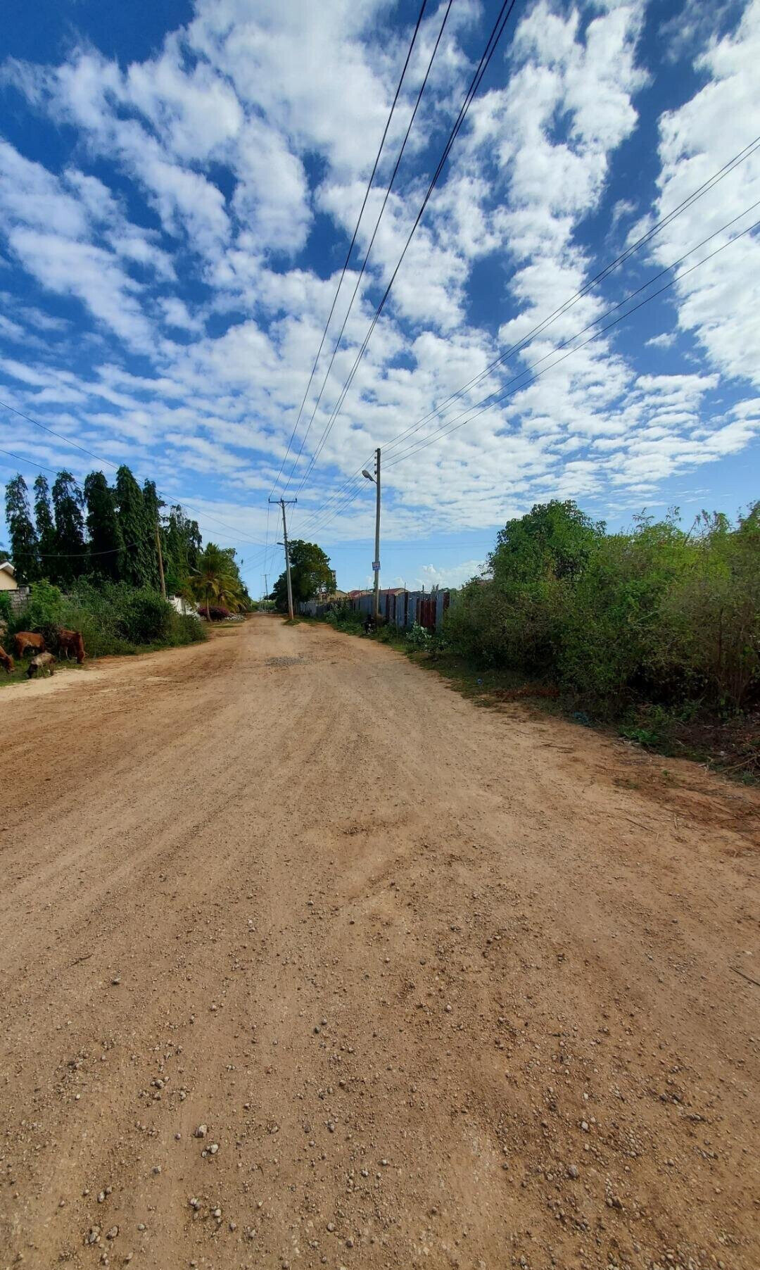 4-Acre Shanzu Gem for KSh 12.5M