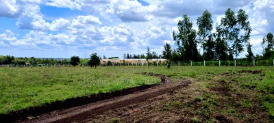 Kitengela Plains 2, 500 MTRS From Tarmac, 1.49 M - Image 4