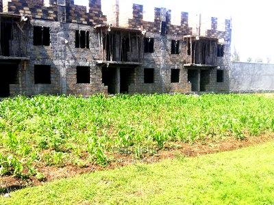Superb Plots 100 Metres From Tarmac at Kijabe in Nakuru - Image 2