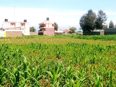 Superb Plots 100 Metres From Tarmac at Kijabe in Nakuru - Image 1