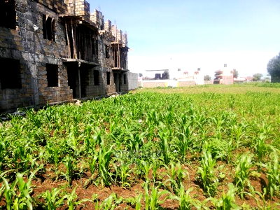 Superb Plots 100 Metres From Tarmac at Kijabe in Nakuru - Image 5