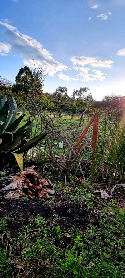 Prime 1 Acre Olesos ,Kiserian ,At 8.5m - Image 3