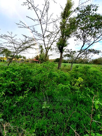 Prime 1 Acre Olesos ,Kiserian ,At 8.5m - Image 2