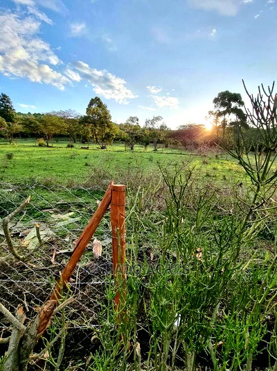 Prime 1 Acre Olesos ,Kiserian ,At 8.5m - Image 6