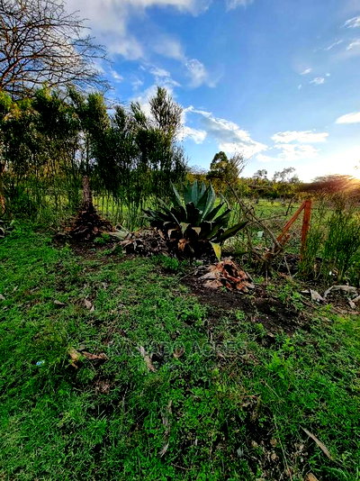 Prime 1 Acre Olesos ,Kiserian ,At 8.5m - Image 9