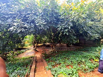 4bdrm Bungalow in Loresho for sale - Image 12