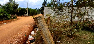 Prime Plots for Sale in Segero Kipkenyo - Image 3