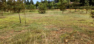 Prime Plots for Sale in Segero Kipkenyo - Image 2