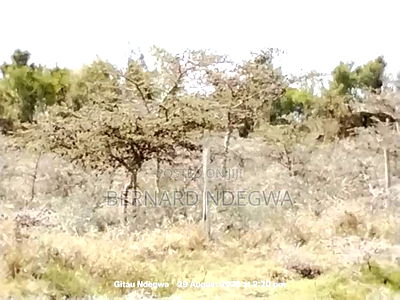 Rare Deal: 50x100 Plot At Just Ksh 900,000 - Way Below Market Value! - Image 1
