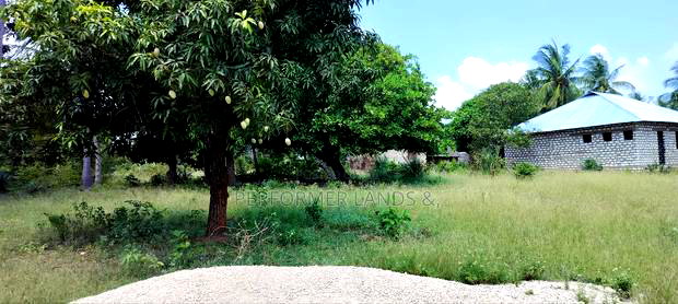 Kombani Kwale Ready Title 50X100 Plots at 1.3M